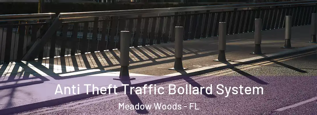 Anti Theft Traffic Bollard System Meadow Woods - FL
