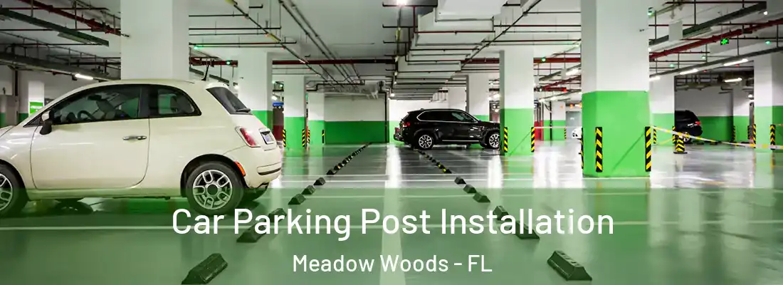 Car Parking Post Installation Meadow Woods - FL