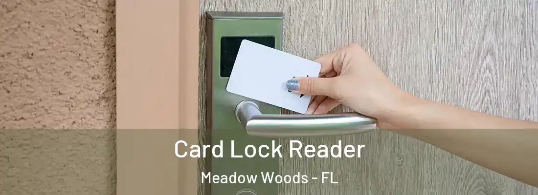 Card Lock Reader Meadow Woods - FL