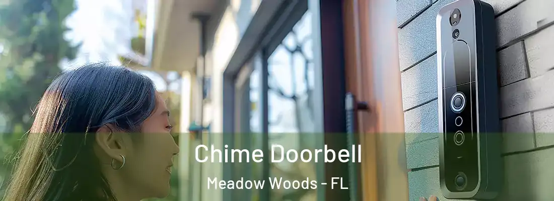 Chime Doorbell Meadow Woods - FL