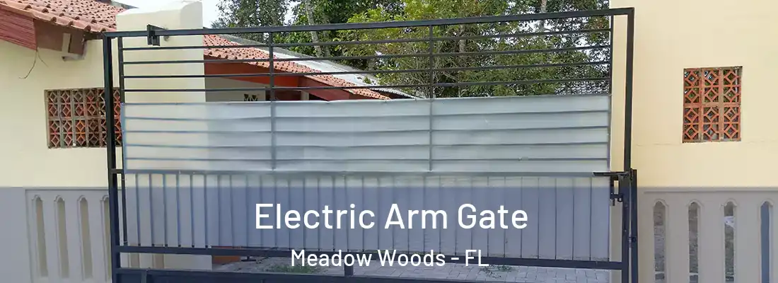 Electric Arm Gate Meadow Woods - FL