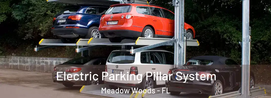 Electric Parking Pillar System Meadow Woods - FL