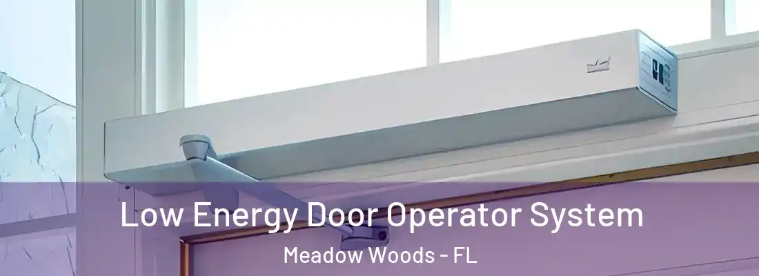 Low Energy Door Operator System Meadow Woods - FL