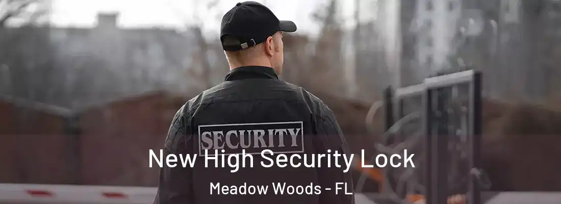 New High Security Lock Meadow Woods - FL
