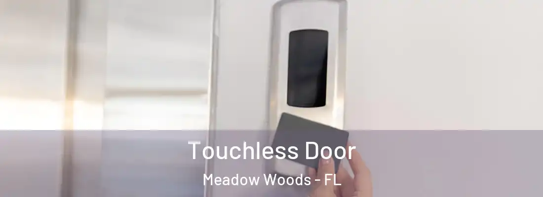 Touchless Door Meadow Woods - FL